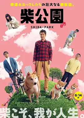 手机看片你懂