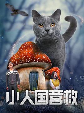洗屋先生在线观看免费完整版